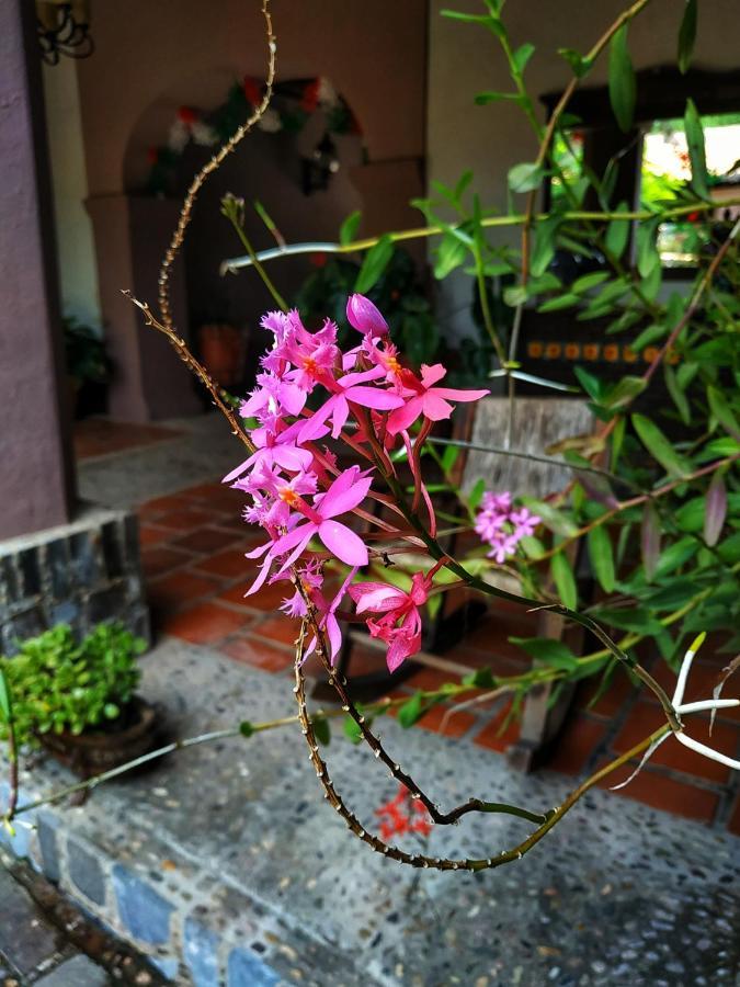 La Casona De La Esmeralda Маскота Экстерьер фото